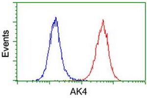 Image no. 1 for anti-Adenylate Kinase 4 (AK4) antibody (ABIN1496530) (AK4 anticorps)