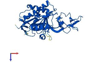 AlphaFold protein structure predicition of Mouse Recombinant Aspa Protein, UniprotID Q8R3P0