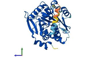 AlphaFold protein structure predicition of Human Recombinant SPG21 Protein, UniprotID Q9NZD8