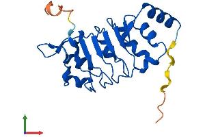 AlphaFold protein structure predicition of Mouse Recombinant Lrrc51 Protein, UniprotID Q9DAK8