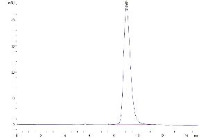 The purity of Mouse NKp46 is greater than 95 % as determined by SEC-HPLC.