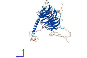 AlphaFold protein structure predicition of Human Recombinant WDR37 Protein, UniprotID Q9Y2I8