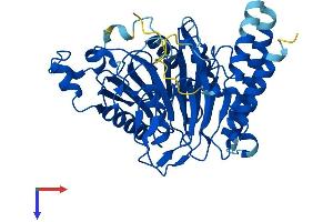 AlphaFold protein structure predicition of Mouse Recombinant Scrn3 Protein, UniprotID Q3TMH2