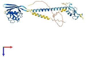 AlphaFold protein structure predicition of Human Recombinant RNF133 Protein, UniprotID Q8WVZ7