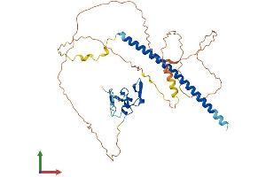 AlphaFold protein structure predicition of Human Recombinant THAP5 Protein, UniprotID Q7Z6K1