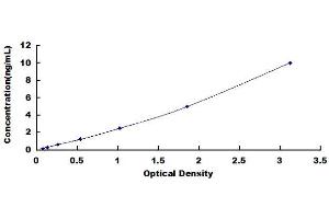 Typical Standard Curve (MMP7 Kit ELISA)
