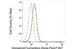 Flow cytometric analysis of Goosecoid homeobox expression in HepG2 cells using Goosecoid homeobox antibody (ABIN7798799), 1:2,000). (Recombinant GSC anticorps)