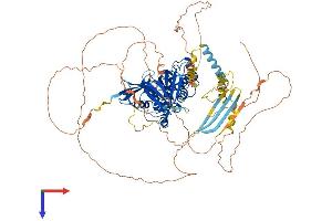 AlphaFold protein structure predicition of Human Recombinant EPB41 Protein, UniprotID P11171