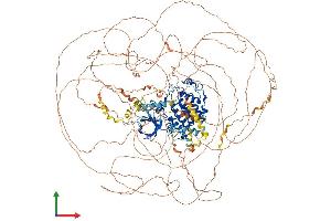 AlphaFold protein structure predicition of Mouse Recombinant Cdk12 Protein, UniprotID Q14AX6