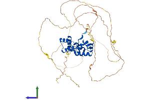 AlphaFold protein structure predicition of Mouse Recombinant Onecut1 Protein, UniprotID O08755