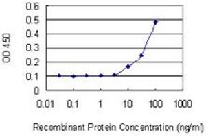 Detection limit for recombinant GST tagged IPP is 3 ng/ml as a capture antibody. (IPP anticorps  (AA 105-204))