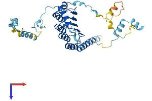 AlphaFold protein structure predicition of Mouse Recombinant Tmod2 Protein, UniprotID Q9JKK7