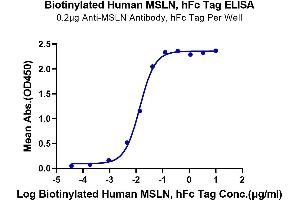 Immobilized Anti-MSLN Antibody at 2 μg/mL (100 μL/Well) on the plate.