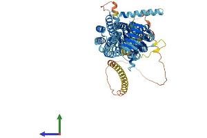 AlphaFold protein structure predicition of Human Recombinant SV2A Protein, UniprotID Q7L0J3