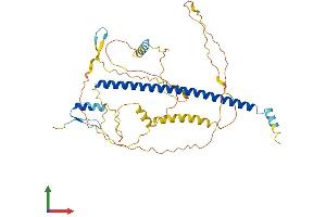AlphaFold protein structure predicition of Mouse Recombinant Atf7 Protein, UniprotID Q8R0S1