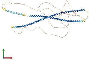 AlphaFold protein structure predicition of Human Recombinant KRT76 Protein, UniprotID Q01546