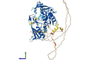 AlphaFold protein structure predicition of Mouse Recombinant Dtx4 Protein, UniprotID Q6PDK8