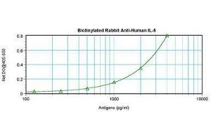 Image no. 2 for anti-Interleukin 5 (IL5) antibody (Biotin) (ABIN465376) (IL-5 anticorps  (Biotin))