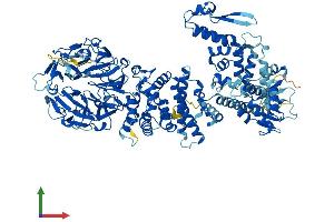 AlphaFold protein structure predicition of Human Recombinant HERC4 Protein, UniprotID Q5GLZ8