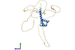 AlphaFold protein structure predicition of Human Recombinant HOXC10 Protein, UniprotID Q9NYD6