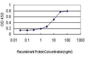 Detection limit for recombinant GST tagged ADAM12 is approximately 0. (ADAM12 anticorps  (AA 208-304))