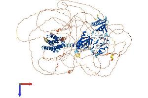 AlphaFold protein structure predicition of Mouse Recombinant Fgd6 Protein, UniprotID Q69ZL1