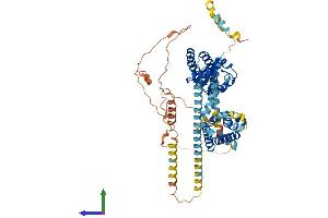 AlphaFold protein structure predicition of Human Recombinant KCND3 Protein, UniprotID Q9UK17