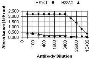 ELISA image for anti-Herpes Simplex Virus Type 1, Glycoprotein G (HSV1 gG) antibody (ABIN265554) (HSV1 gG anticorps)