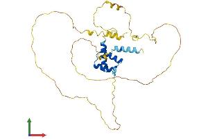 AlphaFold protein structure predicition of Human Recombinant OTP Protein, UniprotID Q5XKR4