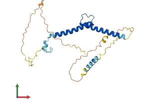 AlphaFold protein structure predicition of Human Recombinant MYF6 Protein, UniprotID P23409