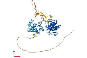 AlphaFold protein structure predicition of Human Recombinant DUSP7 Protein, UniprotID Q16829