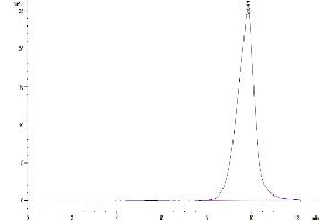 The purity of Mouse SLPI is greater than 95 % as determined by SEC-HPLC.