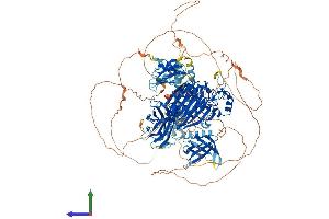 AlphaFold protein structure predicition of Mouse Recombinant Inpp5d Protein, UniprotID Q9ES52