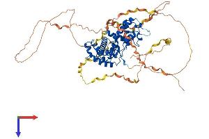AlphaFold protein structure predicition of Human Recombinant CCNK Protein, UniprotID O75909