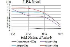 Black line: Control Antigen (100 ng);Purple line: Antigen (10ng); Blue line: Antigen (50 ng); Red line:Antigen (100 ng) (DHX58 anticorps  (AA 479-678))