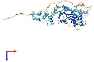 AlphaFold protein structure predicition of Human Recombinant TIGD4 Protein, UniprotID Q8IY51