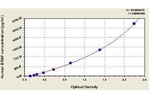 Typical standard curve (BRAF Kit ELISA)