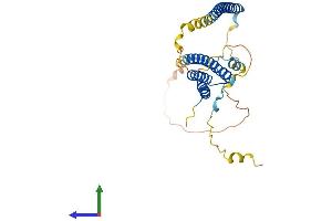 AlphaFold protein structure predicition of Mouse Recombinant Nrbf2 Protein, UniprotID Q8VCQ3