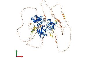 AlphaFold protein structure predicition of Human Recombinant FRMD7 Protein, UniprotID Q6ZUT3