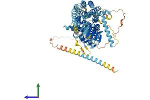 AlphaFold protein structure predicition of Mouse Recombinant Sv2c Protein, UniprotID Q69ZS6