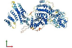 AlphaFold protein structure predicition of Mouse Recombinant Med24 Protein, UniprotID Q99K74