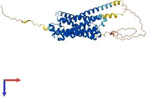 AlphaFold protein structure predicition of Human Recombinant ADRB2 Protein, UniprotID P07550