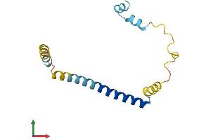 AlphaFold protein structure predicition of Human Recombinant CPLX2 Protein, UniprotID Q6PUV4