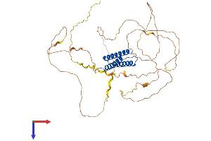 AlphaFold protein structure predicition of Mouse Recombinant Bag4 Protein, UniprotID Q8CI61