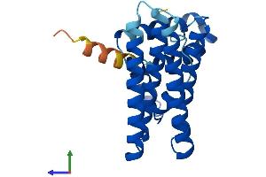 AlphaFold protein structure predicition of Mouse Recombinant Pdcd10 Protein, UniprotID Q8VE70