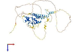 AlphaFold protein structure predicition of Mouse Recombinant Nol4 Protein, UniprotID P60954