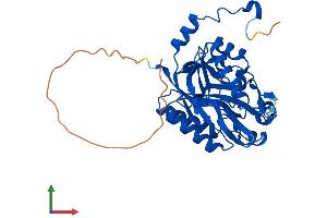 AlphaFold protein structure predicition of Mouse Recombinant Nit1 Protein, UniprotID Q8VDK1