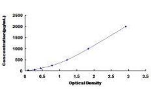 Fibrinogen-Like 1 (FGL1) ELISA Kit