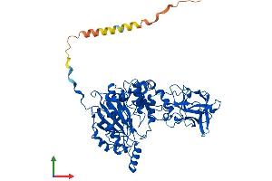 AlphaFold protein structure predicition of Human Recombinant GALNT12 Protein, UniprotID Q8IXK2