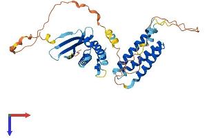 AlphaFold protein structure predicition of Human Recombinant SNX15 Protein, UniprotID Q9NRS6